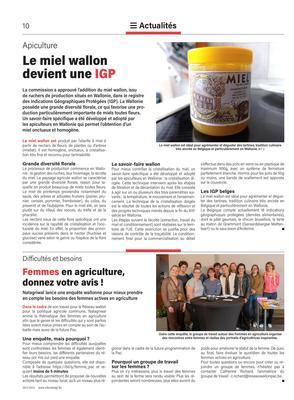Le miel wallon devient une IGP Le miel wallon devient une IGP