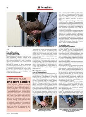 Waligali: une référence en aviculture avec une quarantaine de races représentées! Waligali: une référence en aviculture avec une quarantaine de races représentées!
