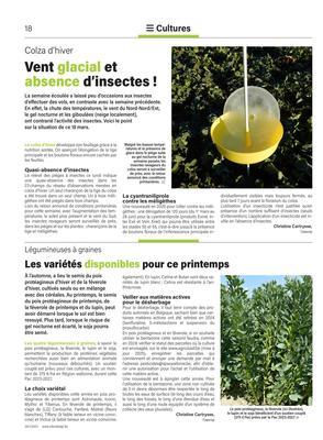Les variétés disponibles pour ce printemps Les variétés disponibles pour ce printemps