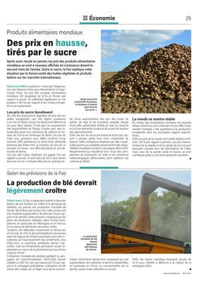 La production de blé devrait légèrement croître La production de blé devrait légèrement croître