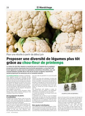 Proposer une diversité de légumes plus tôt grâce au chou-fleur de printemps Proposer une diversité de légumes plus tôt grâce au chou-fleur de printemps