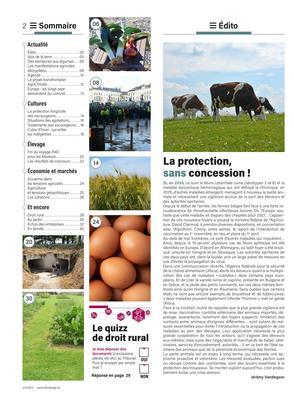 Actualité Actualité