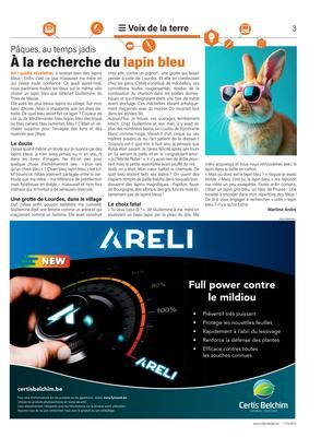 À la recherche du lapin bleu À la recherche du lapin bleu
