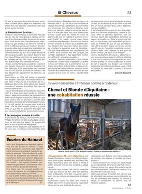 Cheval et Blonde d’Aquitaine:une cohabitation réussie Cheval et Blonde d’Aquitaine:une cohabitation réussie