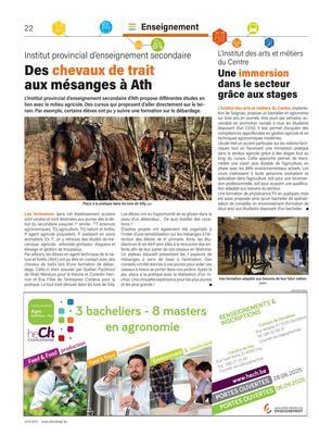 Des chevaux de traitaux mésanges à Ath Des chevaux de traitaux mésanges à Ath