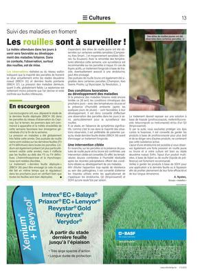 Les rouilles sont à surveiller! Les rouilles sont à surveiller!