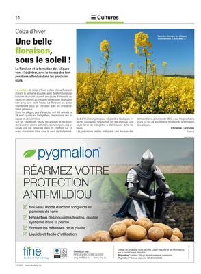 Une belle floraison, sous le soleil! Une belle floraison, sous le soleil!