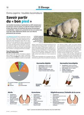 Savoir partirdu «bon pied» Savoir partirdu «bon pied»