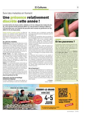Une présence relativement discrète cette année! Une présence relativement discrète cette année!