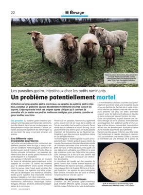 Un problème potentiellement mortel Un problème potentiellement mortel