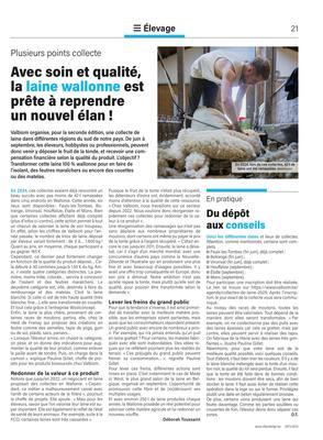 Avec soin et qualité, la laine wallonne est prête à reprendreun nouvel élan! Avec soin et qualité, la laine wallonne est prête à reprendreun nouvel élan!