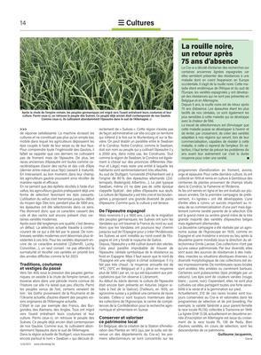 Une richesse locale transmise à travers les siècles