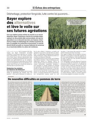 De nouvelles difficultés en pommes de terre De nouvelles difficultés en pommes de terre