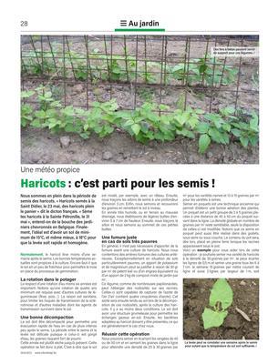 Haricots: c’est parti pour les semis! Haricots: c’est parti pour les semis!