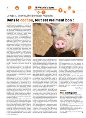Dans le cochon, tout est vraiment bon! Dans le cochon, tout est vraiment bon!