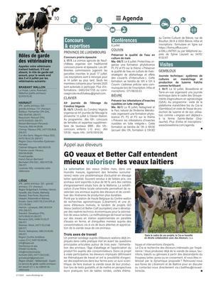 GO veaux et Better Calf entendent mieux valoriser les veaux laitiers GO veaux et Better Calf entendent mieux valoriser les veaux laitiers