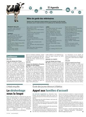 Appel aux familles d’accueil Appel aux familles d’accueil