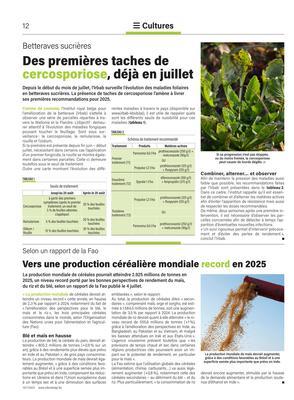 Vers une production céréalière mondiale record en 2025 Vers une production céréalière mondiale record en 2025