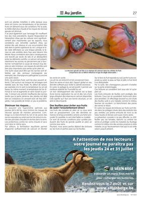 Nécroses et brûlures: commentprotéger ses tomates? Nécroses et brûlures: commentprotéger ses tomates?