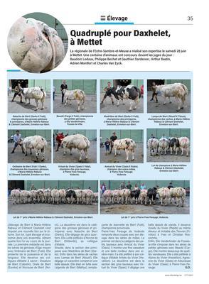 Quadruplé pour Daxhelet,à Mettet Quadruplé pour Daxhelet,à Mettet