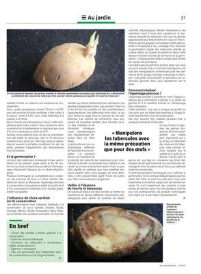 Comment les conserver au mieux? Comment les conserver au mieux?