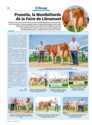 Prunella, la Montbéliardede la Foire de Libramont Prunella, la Montbéliardede la Foire de Libramont