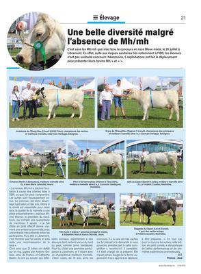 Une belle diversité malgré l’absence de Mh/mh