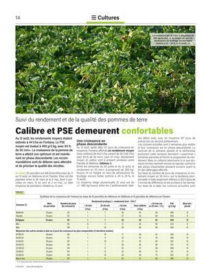 Calibre et PSE demeurent confortables Calibre et PSE demeurent confortables