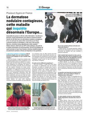 La dermatosenodulaire contagieuse, cette maladiequi inquiètedésormais l’Europe… La dermatosenodulaire contagieuse, cette maladiequi inquiètedésormais l’Europe…