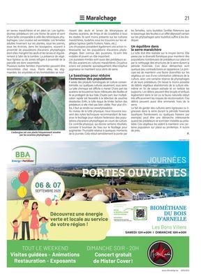 Les acariens : un climat chaud et sec, idéal pour leur développement