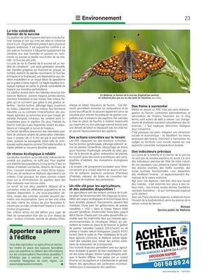 Des papillons pour préserver nos campagnes Des papillons pour préserver nos campagnes