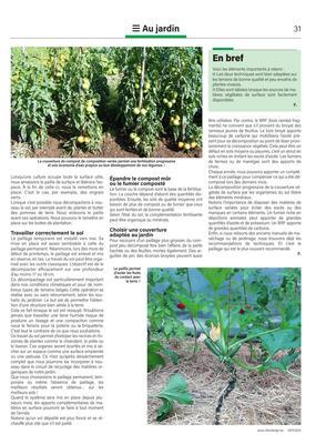 Un paillis permanent ou temporaire:quelles différences pour le potager?