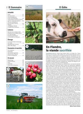 En Flandre,la viande sacrifiée En Flandre,la viande sacrifiée