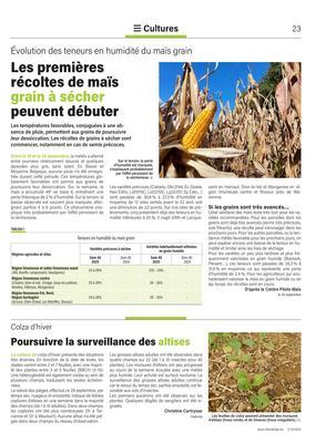 Poursuivre la surveillance des altises