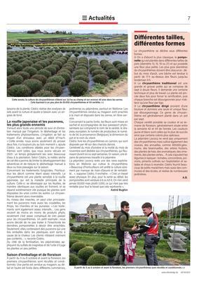 Différentes tailles, différentes formes