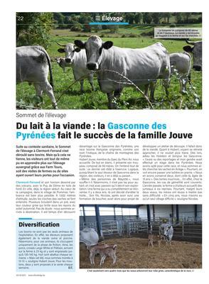 Du lait à la viande: la Gasconne desPyrénées fait le succès de la famille Jouve
