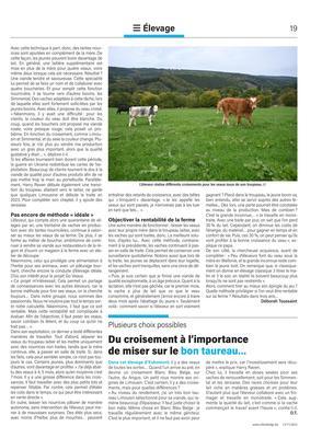 Du croisement à l’importancede miser sur le bon taureau…