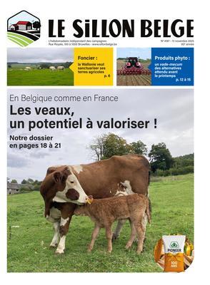 Foncier : la Wallonie veut sanctuariser ses terres agricoles p. 6