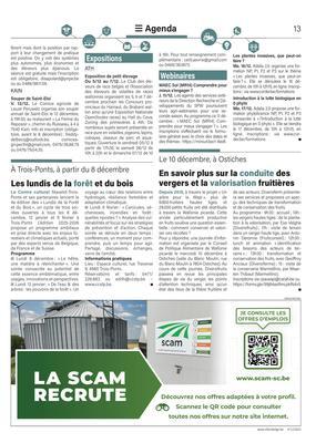 Les lundis de la forêt et du bois