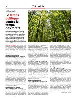 Le temps politique contre le temps des forêts