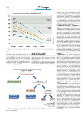 Le jeune âge: une période sous haute tension pour les ovins et les caprins